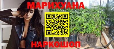гашик Тулун