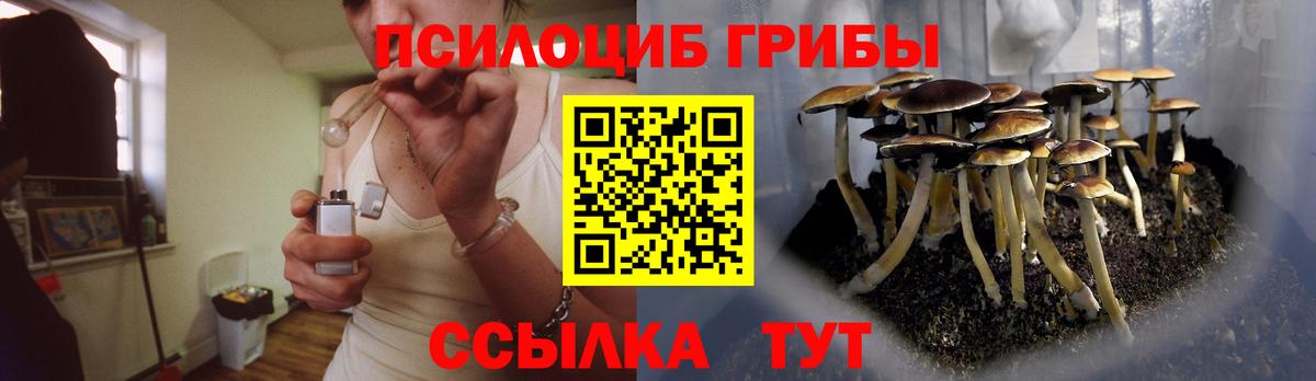 Псилоцибиновые грибы Psilocybe  Псилоцибиновые грибы Psilocybe  Вход с VPN  Орск 